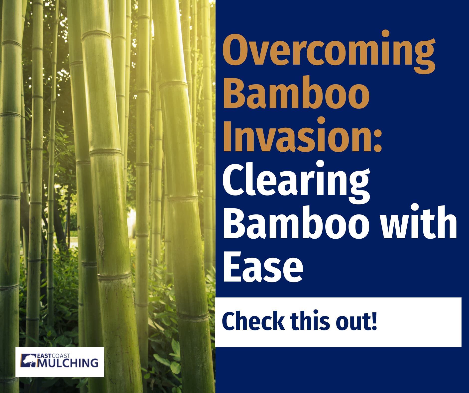 bamboo removal with ease