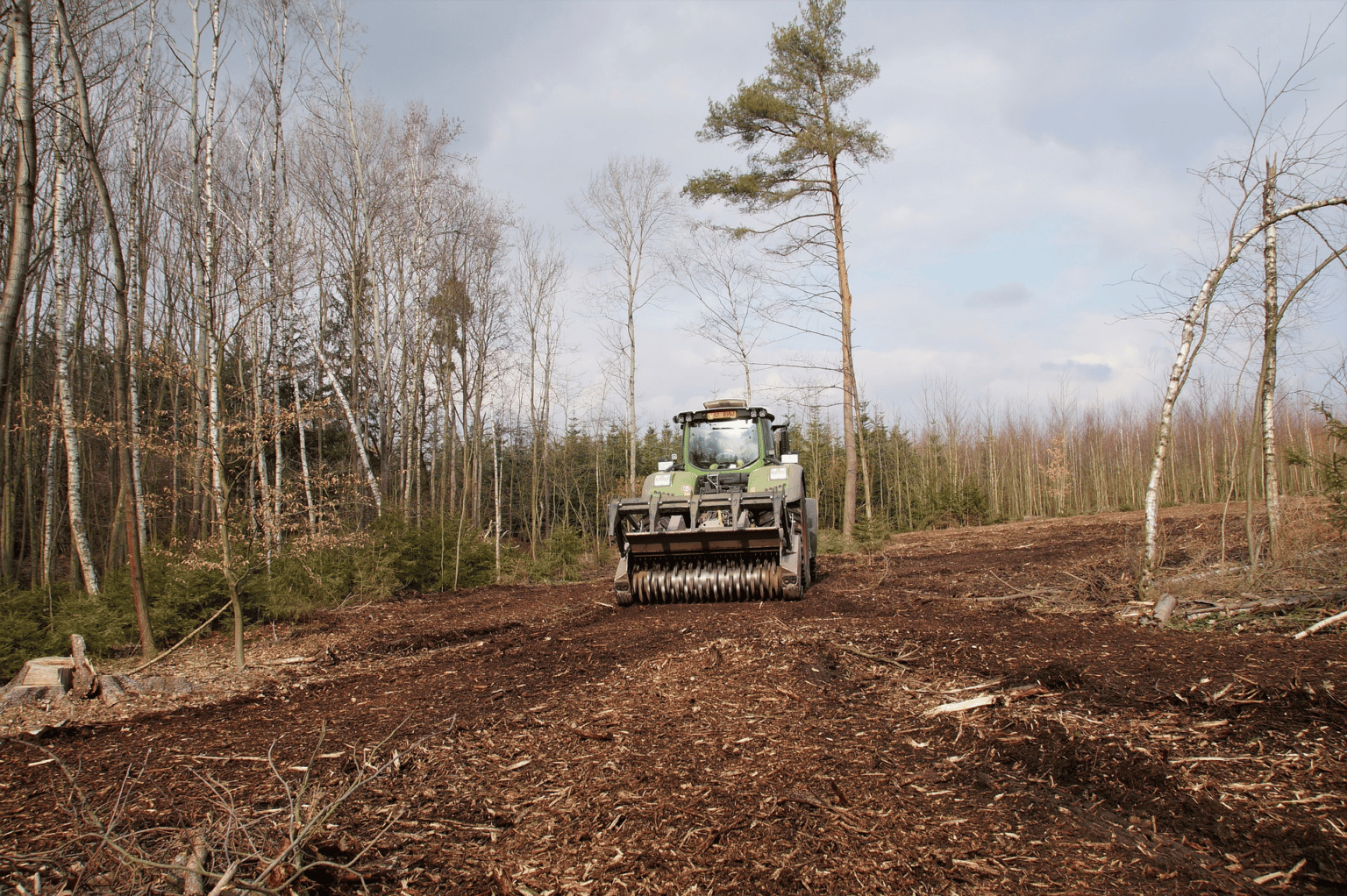 Forestry Mulching Services And Vegetation Management