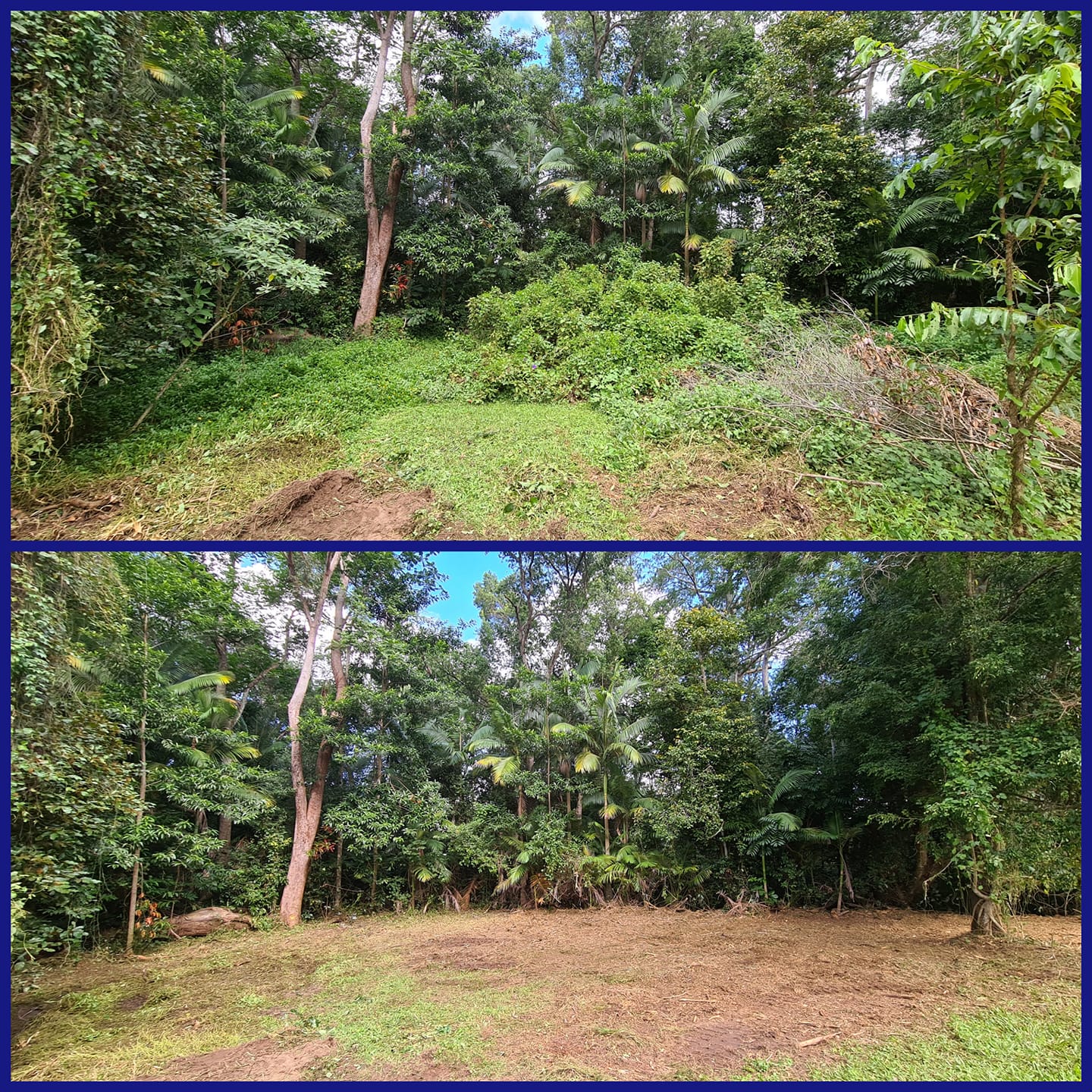 Before and after of Landsborough land clearing