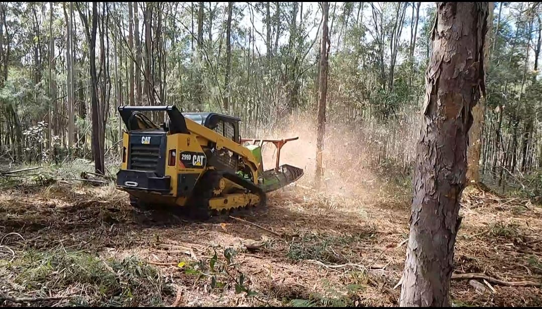  East Coast Mulching clearing land the best way