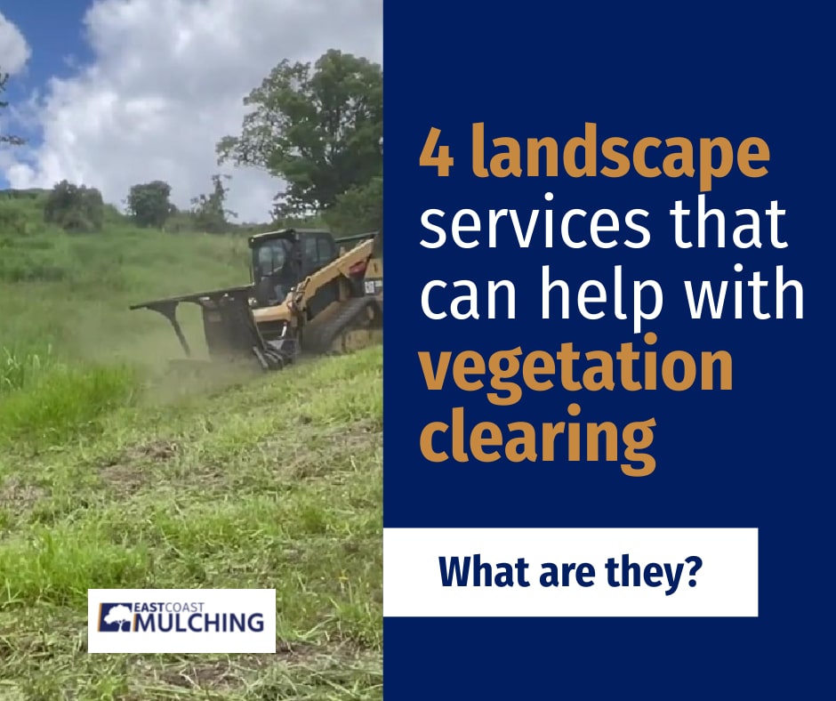 Blog - 4 landscape vegetation clearing services