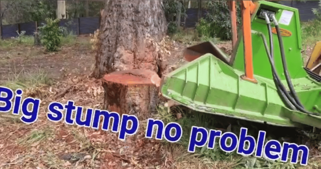 big stump no problem