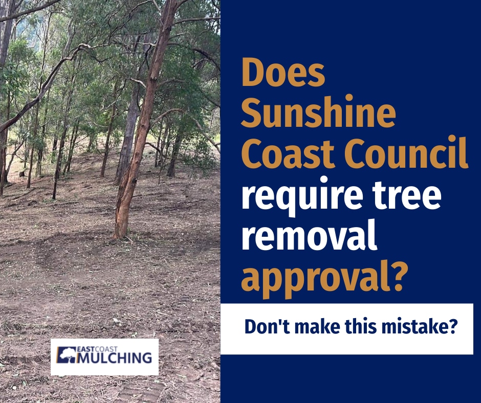 Does Sunshine Coast Council require tree removal approval