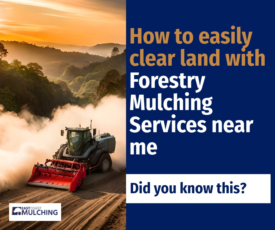 How to easily clear land with forestry mulching services near me