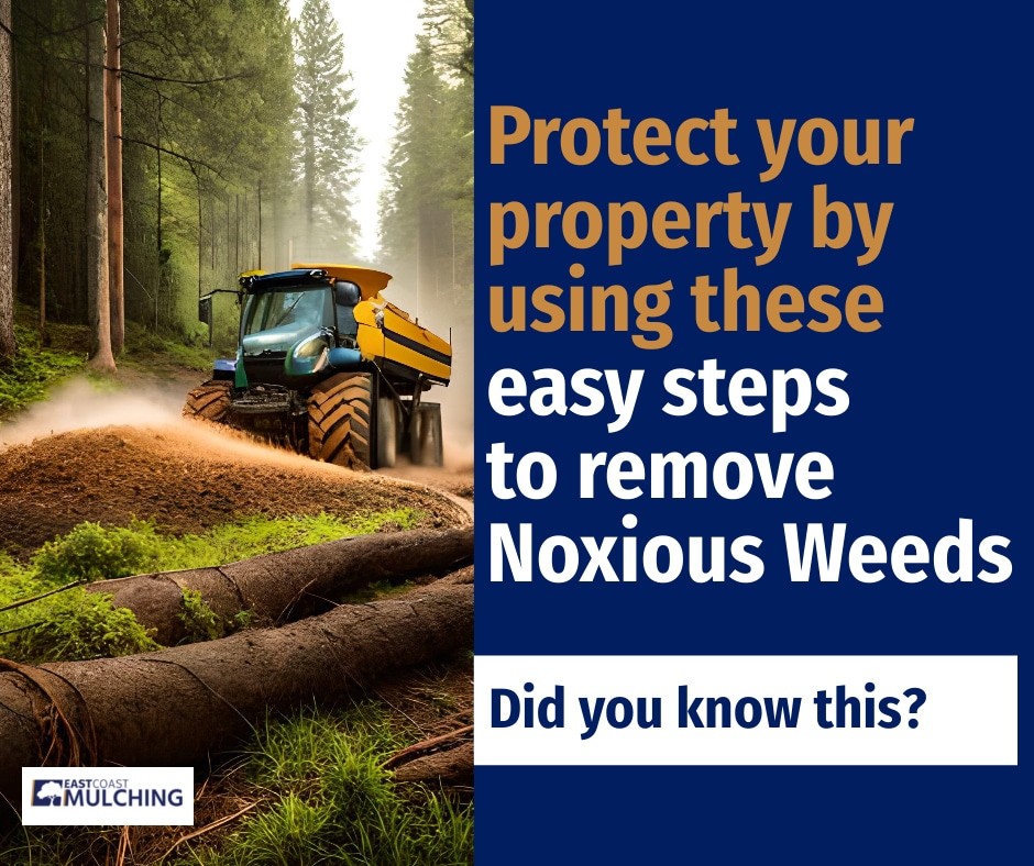 Easy steps to remove Noxious Weeds