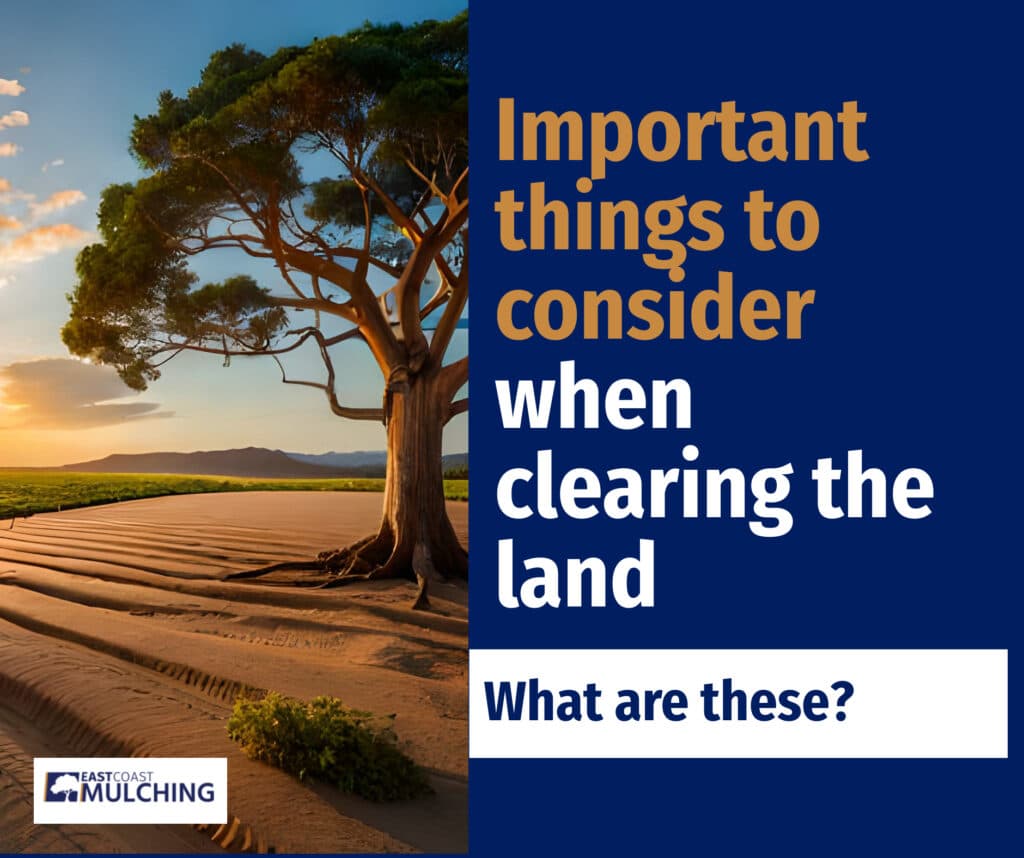 Important things to consider when clearing the land