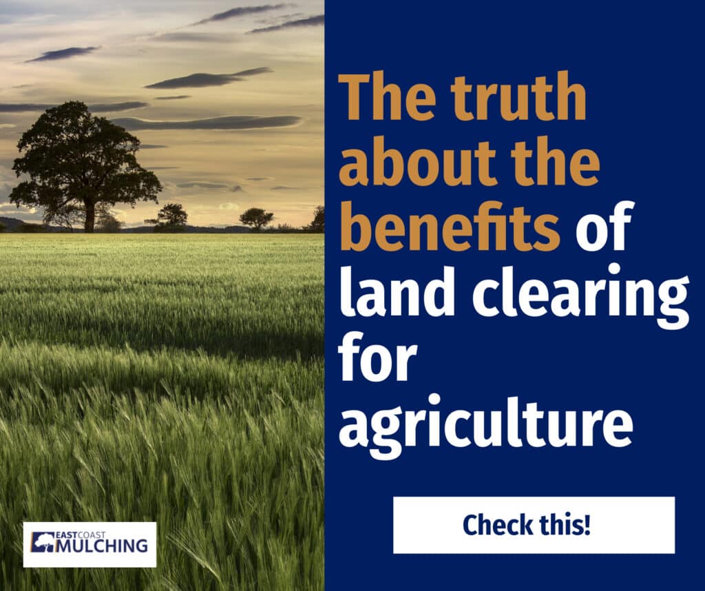 The truth about the benefits of land clearing for agriculture