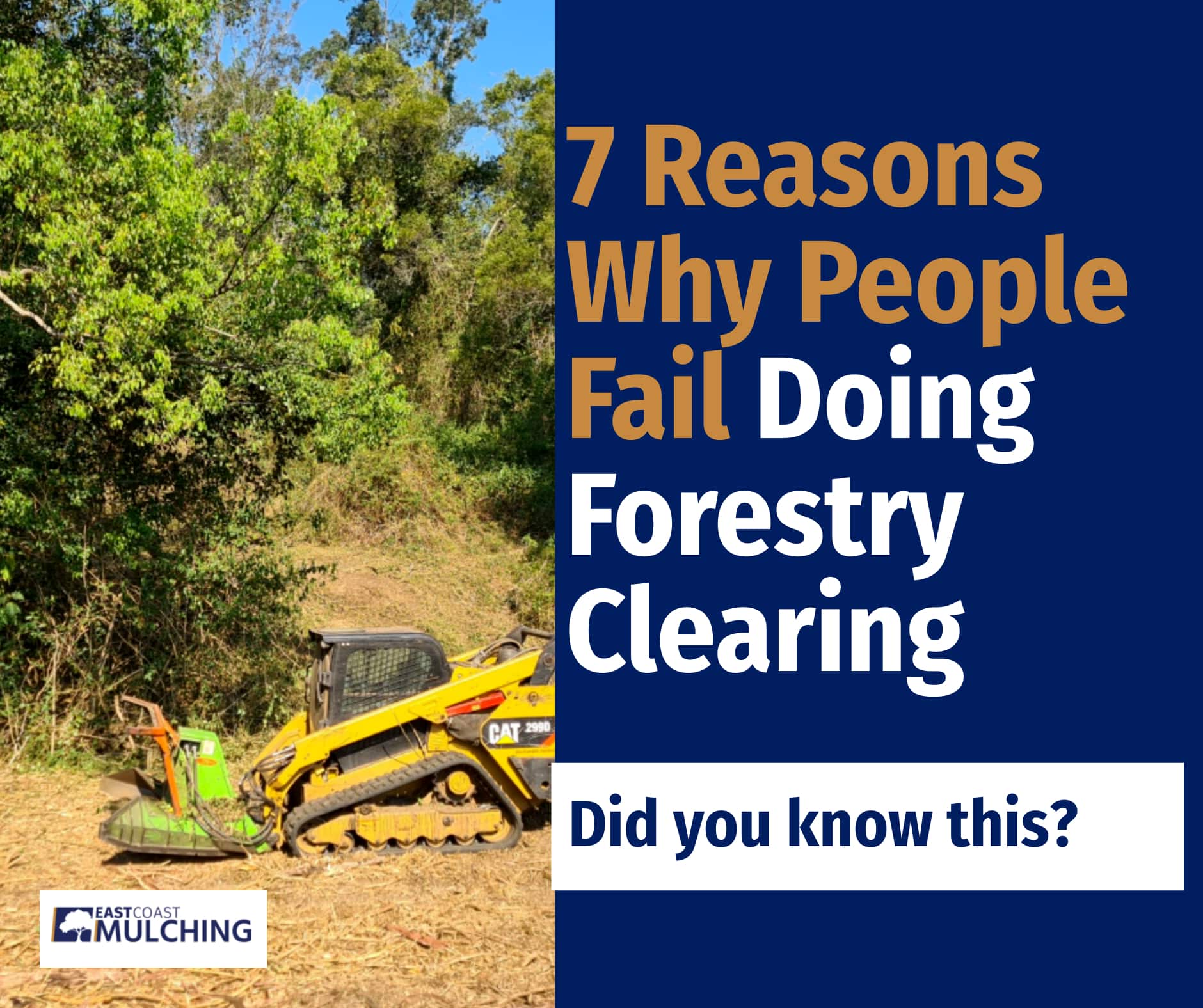 7 Reasons Why People Fail Doing Forestry Clearing