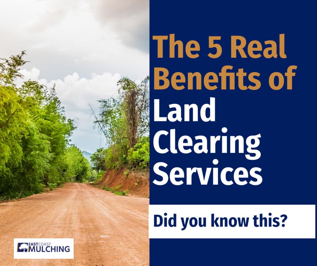 The 5 Real Benefits of Land Clearing Services