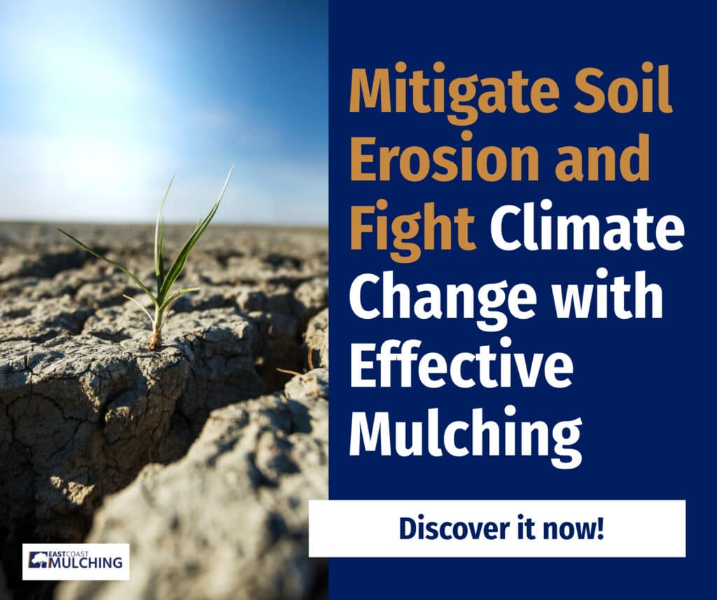 Mitigate Soil Erosion and Fight Climate Change with Effective Mulching