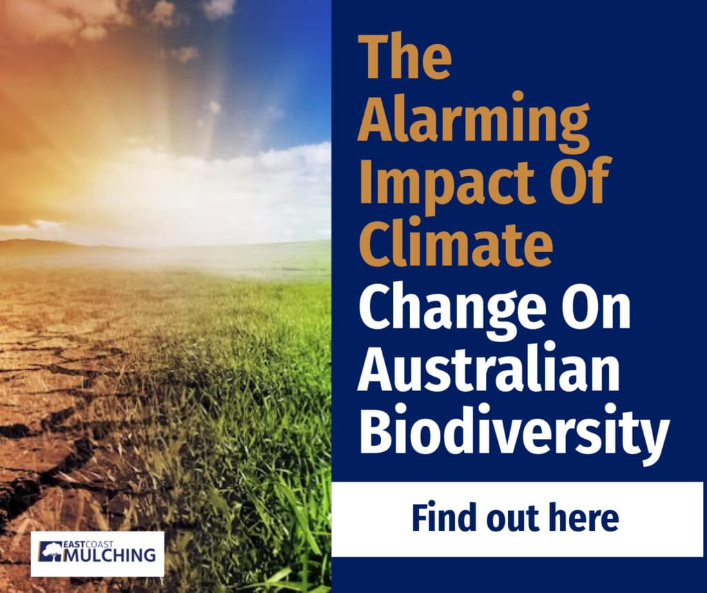 The Alarming Impact Of Climate Change On Australian Biodiversity