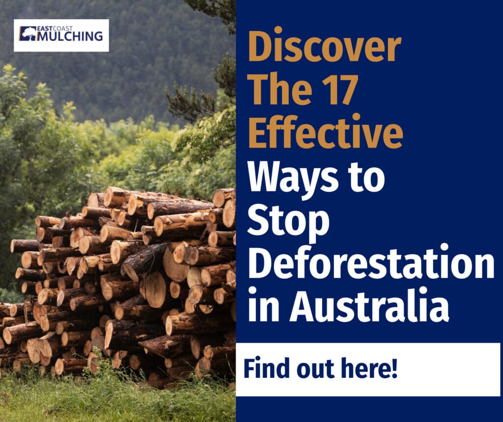 Discover The 17 Effective Ways on How to Stop Deforestation in Australia