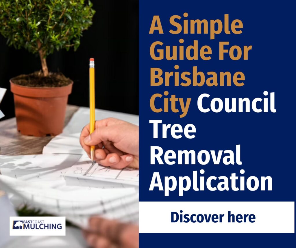 A Simple Guide For Brisbane City Council Tree Removal Application