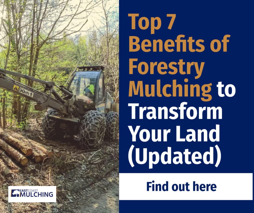 Top 7 Benefits of Forestry Mulching to Transform Your Land (Updated)