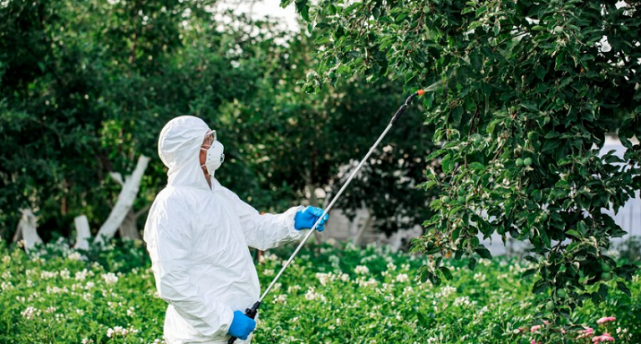managing pest vegetation