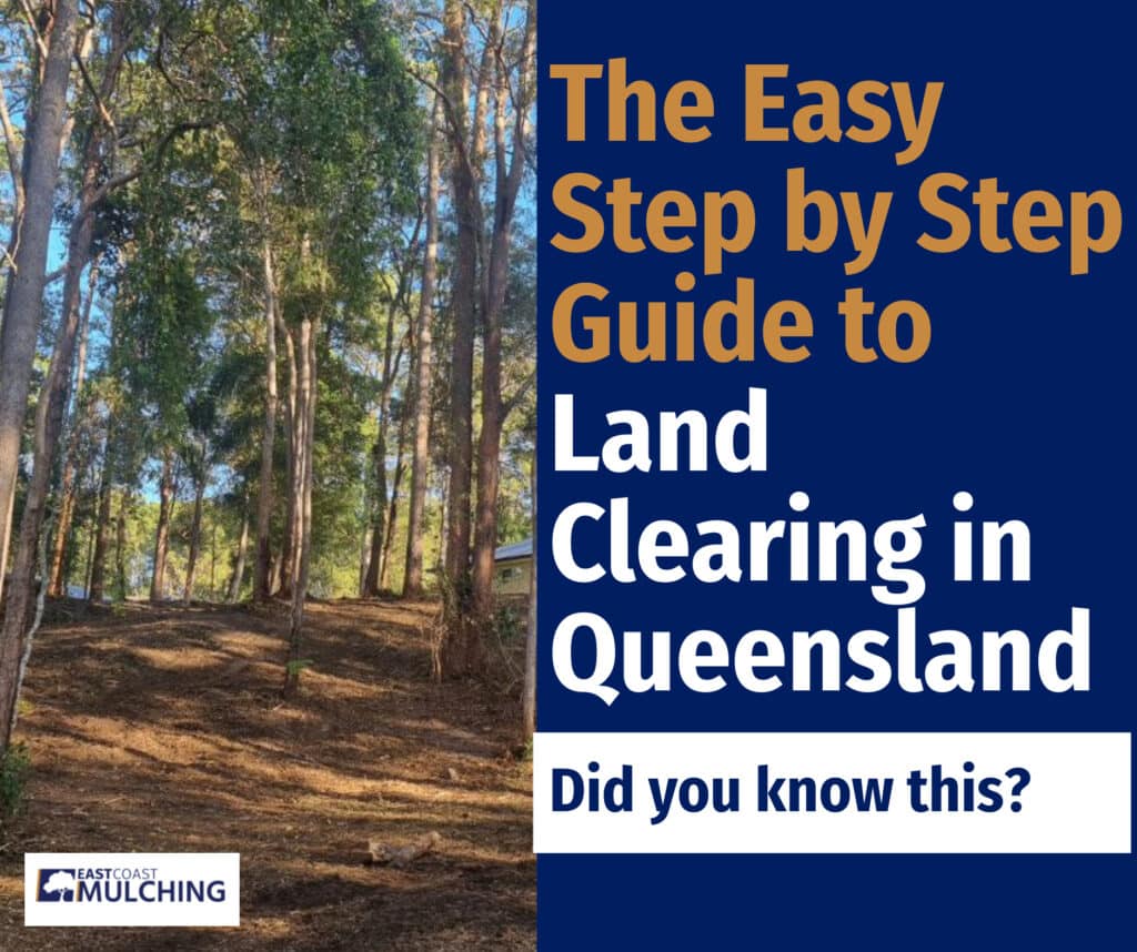 The Easy Step by Step Guide to Land Clearing in Queensland