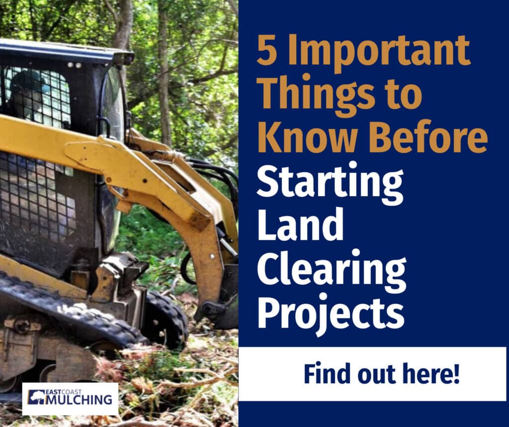 5 Important Things to Know Before Starting Land Clearing Projects