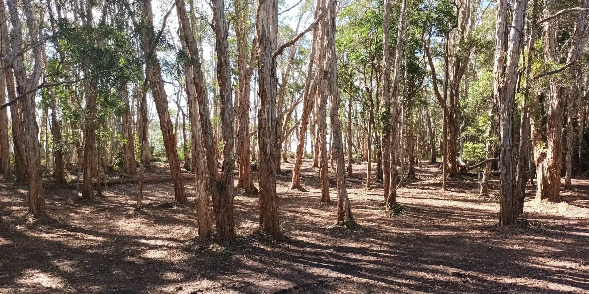 Hervey Bay - After