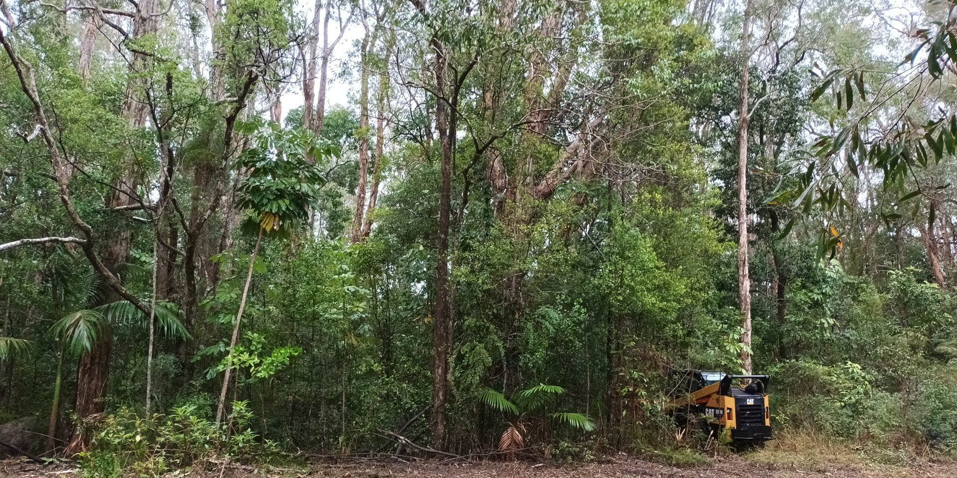 Hervey Bay - Before