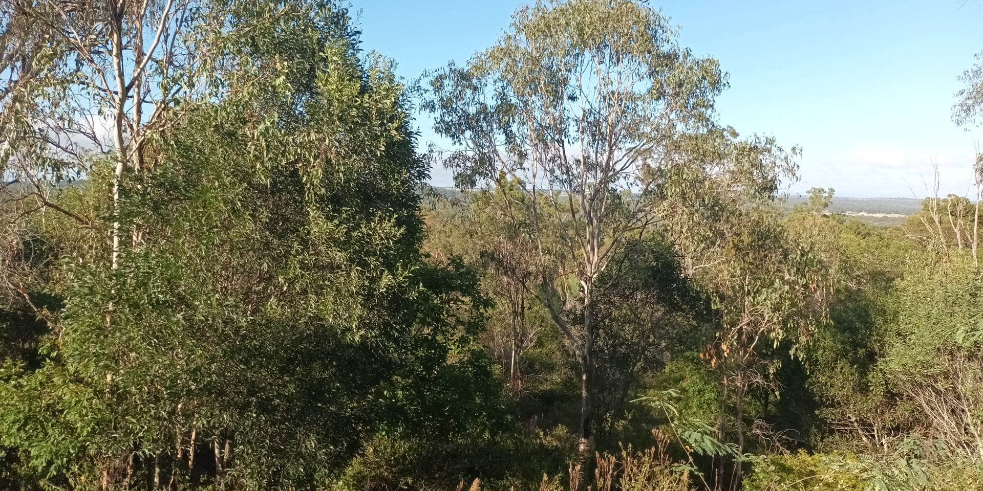 Nanango - Before