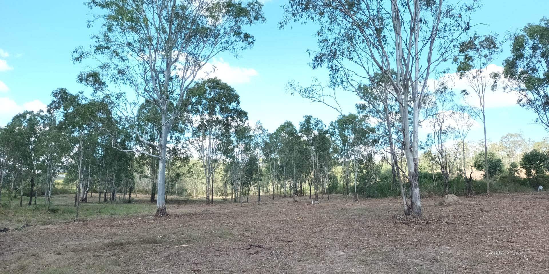 South Ipswich - After
