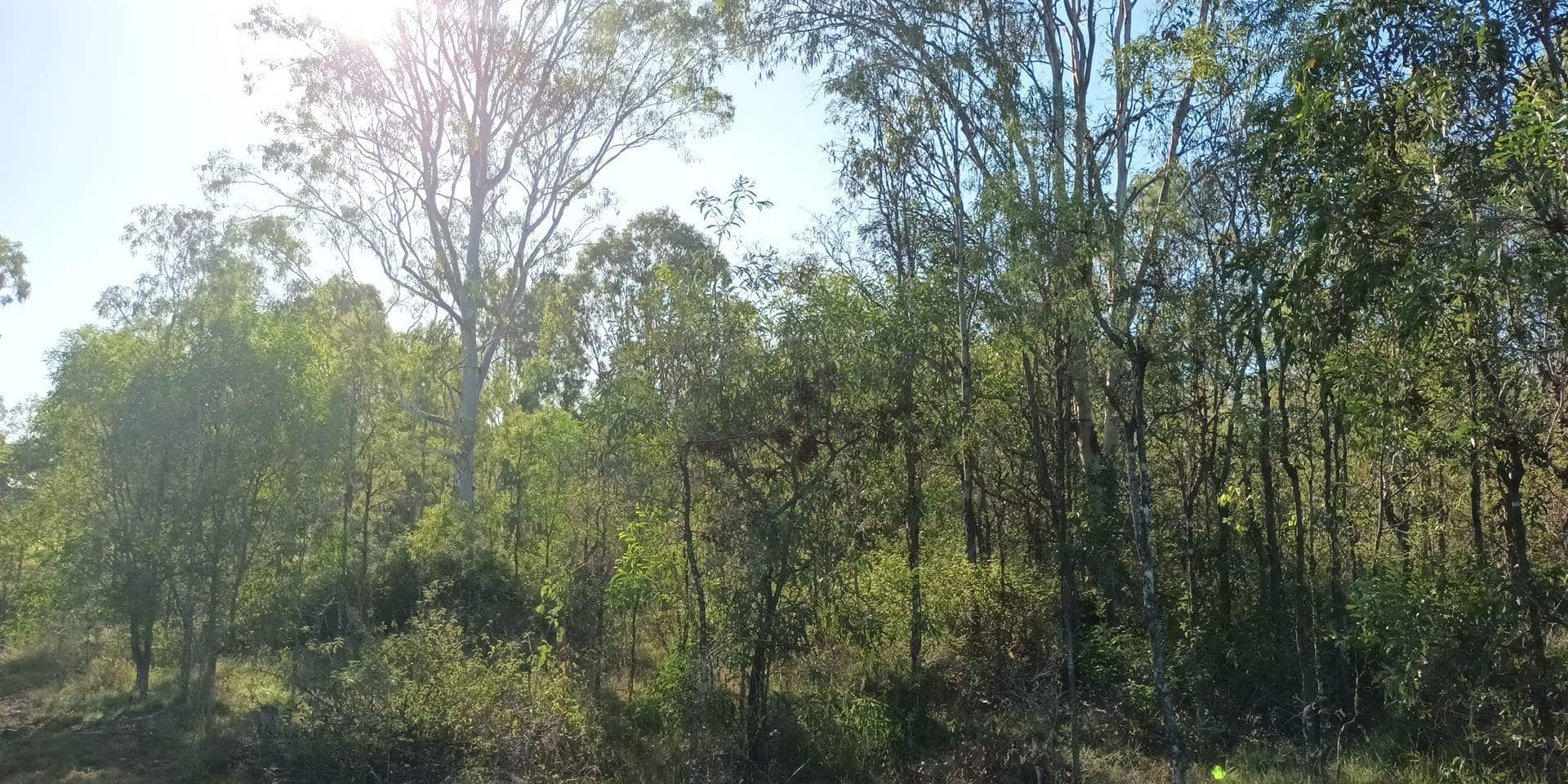 South Ipswich - before
