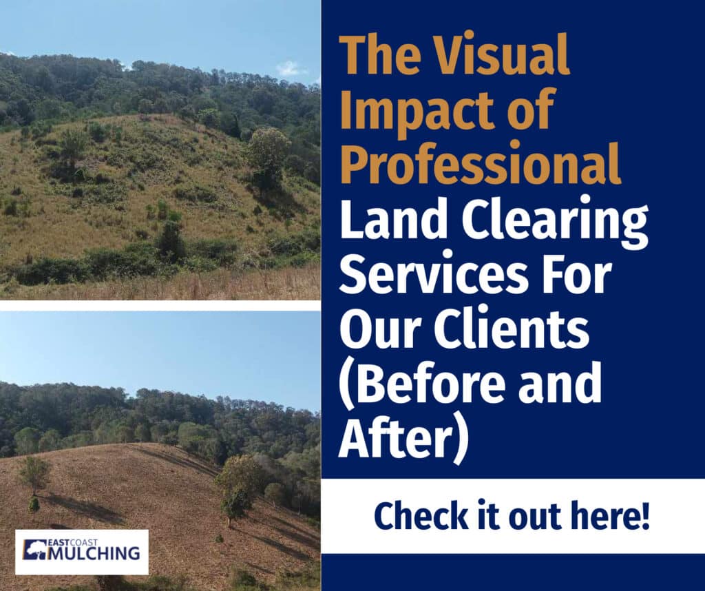 The Visual Impact of Professional Land Clearing Services For Our Clients (Before and After)