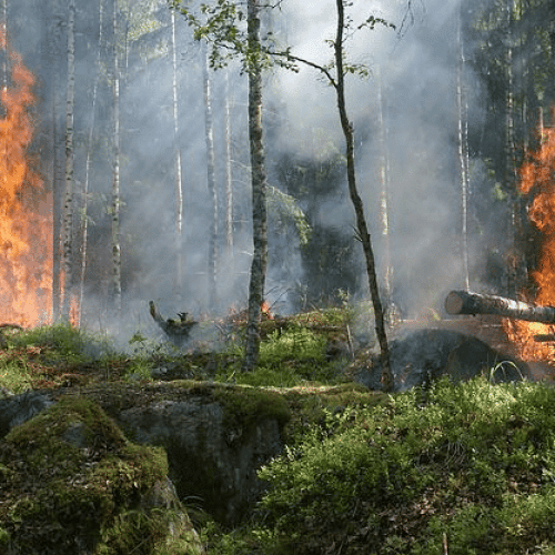 dangerous fire from not clearing land resize