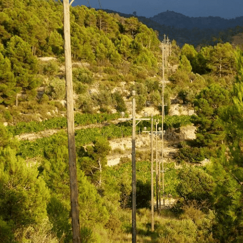 fence power line clearing resize