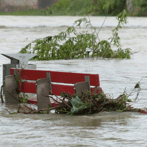 Storm and Flood land clear up resize